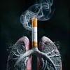 ✨بسولي🚬🥷 - @basilibrahim45 - TikTok
