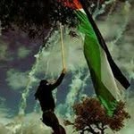 Basil Jaber - @basiljaber89 - Instagram