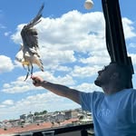 Basil_jaber_ - @basil_jaber_ - Instagram