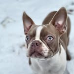 Jubilee Basil - @jubilee.basil.bosty - Instagram