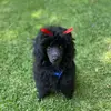 Basil Keeley - @basilkeeley - TikTok