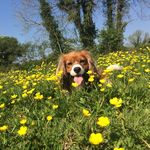 Basil Kennedy - @basil.kennedy - Instagram