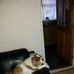 Basil Kennedy - Facebook