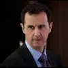 Basil King - @basil.king96 - TikTok