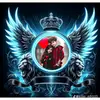 Basil king - @6565khan3 - TikTok