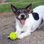 Basil knight - @basilicious_adventures - Instagram