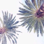 @basiliskknight - Instagram