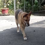 Basil Lewis - @3030hunt - Instagram