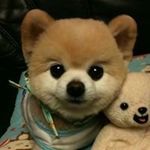 Basil Lin - @basil.lin - Instagram