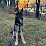 Hazel Lue Lombardo - @hazel_lue_basil - Instagram