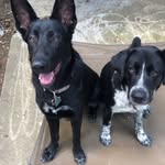 Basil🌿 & Luna🌙 - @basil_luna_adventures - Instagram