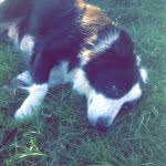 Basil Manning - @basilmanning2009 - Instagram