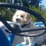 Basil Martin - @basilmartin1 - Instagram