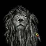 Basil Martin - @basilmartin168 - Instagram