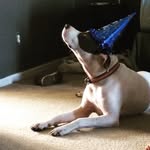 @basil_martin_ - Instagram