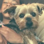Basil Mason 🌿 - @thebasilboy - Instagram