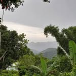 Basil Matthews - @basil.mat - Instagram