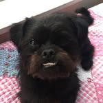 Basil aka Bazman🐵 - @basil_mills_ - Instagram