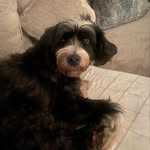 @basilmills1234 - Instagram