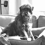 Basil Min - Facebook