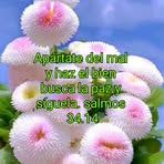 Basilia Morales - Facebook