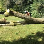 Basil Morgan - @baz_morgan65 - Instagram