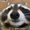 Hugh - @basil.morrison - TikTok