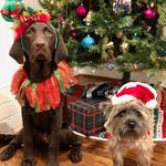 Basil Boots & Murphy - @bootsandmurph - Instagram