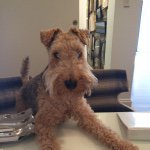 Mr Basil Murphy - @mrbasilmurphy - Instagram