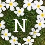 Basil Mustafa - @basilm736 - Instagram