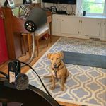 Basil Nelson - @themarvelousmsbasil - Instagram