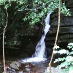 norman basil - @norman_basil___ - Instagram