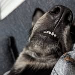 basil fan page - @onceadaybasil - Instagram