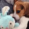 Basil fan page - @basil.nuggets - TikTok