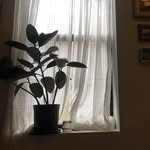 christina - @basilpages - Instagram