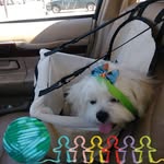 Sally Cantu - @pappas_basil - Instagram