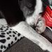 Basil Patterson - Facebook