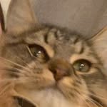 Basil Powell - @basilfranklinpowell - Instagram