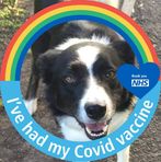 Basil Quinn - Facebook