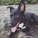 Hazel Basil Quinn - @hazelbasilquinn - Instagram