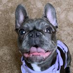 Quinnlee Basil - @quinnleebasil - Instagram