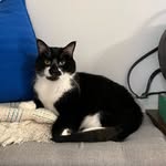 Basil Reid-Gogh - Oh So Basil - @ohsobasil - Instagram