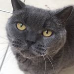 Basil_.Richards - @basil_.richards - Instagram