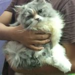 @basil_riley145 - Instagram