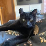basil robbins-richardsun - @basilboyrobbins - Instagram
