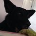 Basil Roberts - Facebook