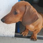 Basil Roberts - @basildoxie - Instagram