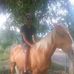 Basil Rodriguez - Facebook