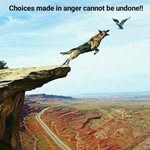 Basil Rowe - @rowet1basil - Instagram