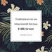 Basil Rowe - Facebook